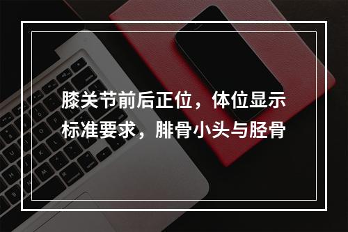 膝关节前后正位，体位显示标准要求，腓骨小头与胫骨