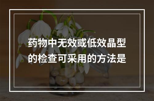 药物中无效或低效晶型的检查可采用的方法是