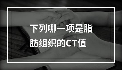 下列哪一项是脂肪组织的CT值