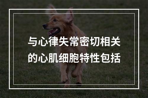 与心律失常密切相关的心肌细胞特性包括