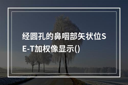 经圆孔的鼻咽部矢状位SE-T加权像显示()