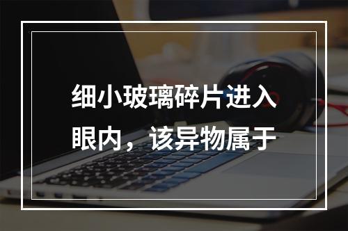 细小玻璃碎片进入眼内，该异物属于