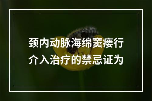 颈内动脉海绵窦瘘行介入治疗的禁忌证为