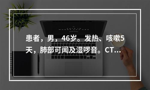 患者，男，46岁。发热、咳嗽5天，肺部可闻及湿啰音。CT检查