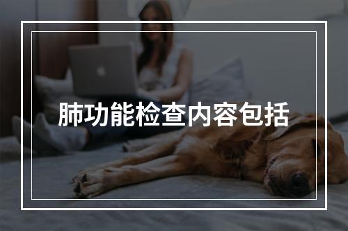 肺功能检查内容包括