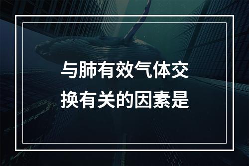 与肺有效气体交换有关的因素是