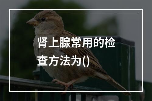 肾上腺常用的检查方法为()