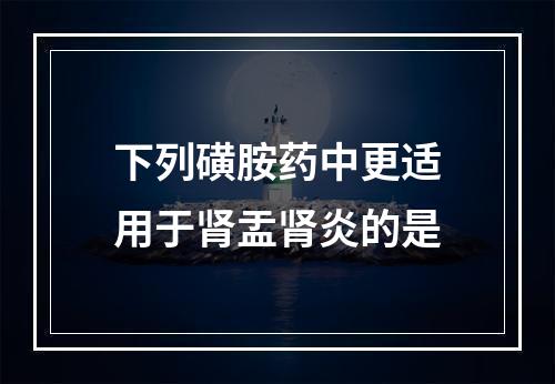 下列磺胺药中更适用于肾盂肾炎的是