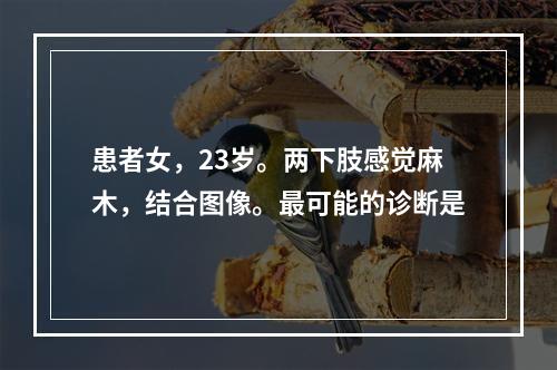 患者女，23岁。两下肢感觉麻木，结合图像。最可能的诊断是