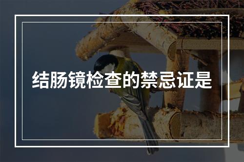 结肠镜检查的禁忌证是