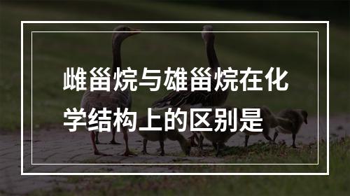 雌甾烷与雄甾烷在化学结构上的区别是