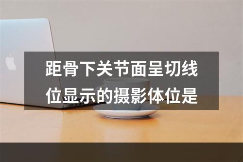 距骨下关节面呈切线位显示的摄影体位是