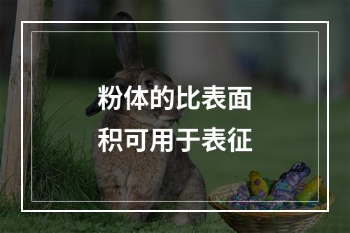 粉体的比表面积可用于表征