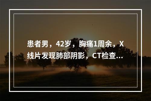 患者男，42岁，胸痛1周余，X线片发现肺部阴影，CT检查如图