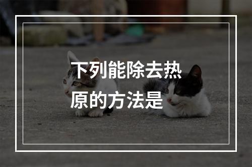 下列能除去热原的方法是