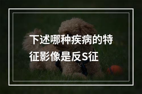 下述哪种疾病的特征影像是反S征