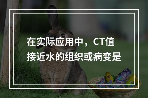 在实际应用中，CT值接近水的组织或病变是