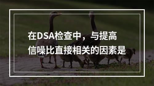 在DSA检查中，与提高信噪比直接相关的因素是