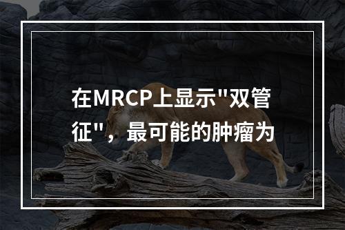 在MRCP上显示