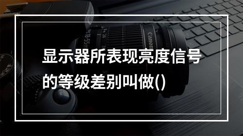 显示器所表现亮度信号的等级差别叫做()