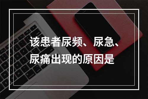 该患者尿频、尿急、尿痛出现的原因是