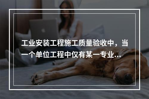 工业安装工程施工质量验收中，当一个单位工程中仅有某一专业分部