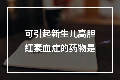 可引起新生儿高胆红素血症的药物是