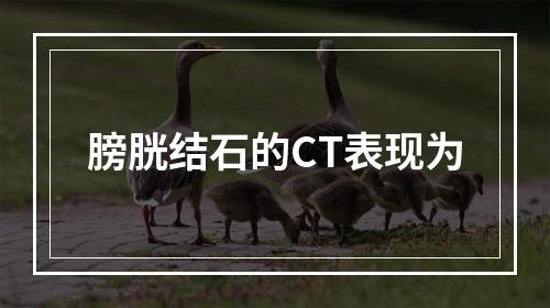 膀胱结石的CT表现为