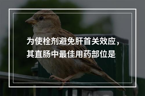 为使栓剂避免肝首关效应，其直肠中最佳用药部位是