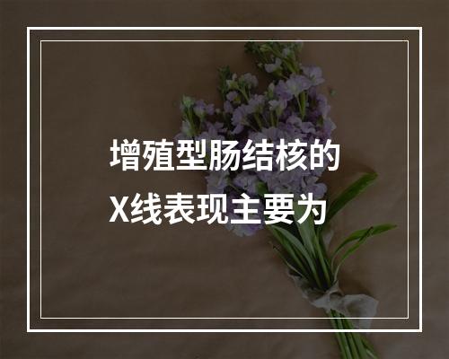 增殖型肠结核的X线表现主要为