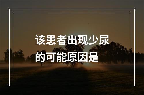 该患者出现少尿的可能原因是