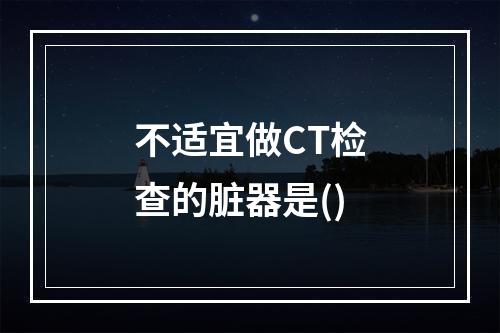 不适宜做CT检查的脏器是()