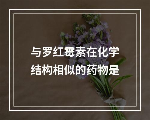 与罗红霉素在化学结构相似的药物是