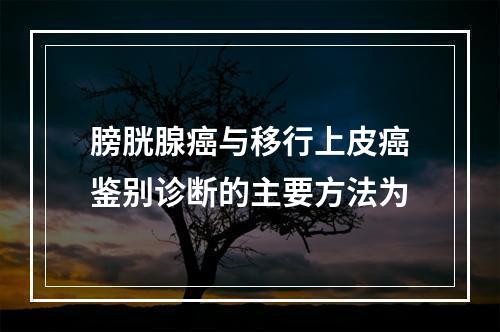 膀胱腺癌与移行上皮癌鉴别诊断的主要方法为