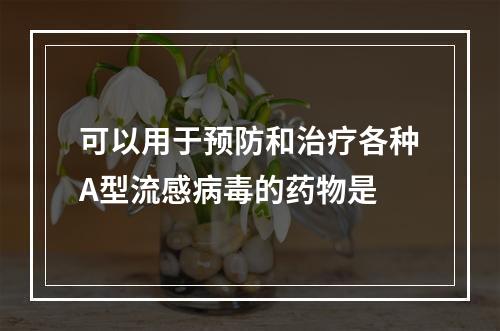 可以用于预防和治疗各种A型流感病毒的药物是