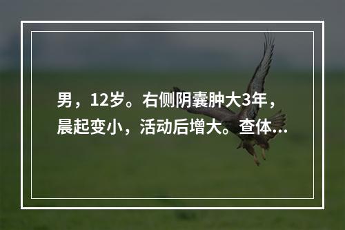 男，12岁。右侧阴囊肿大3年，晨起变小，活动后增大。查体：右