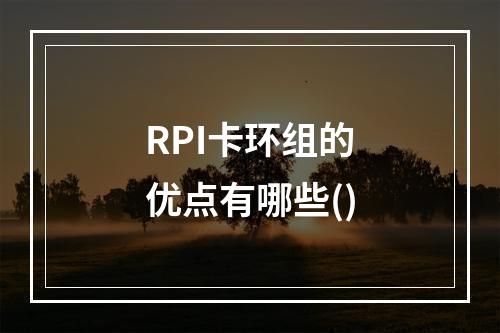 RPI卡环组的优点有哪些()