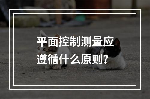 平面控制测量应遵循什么原则？