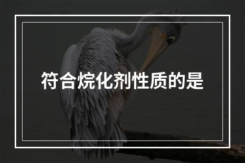 符合烷化剂性质的是