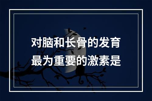 对脑和长骨的发育最为重要的激素是