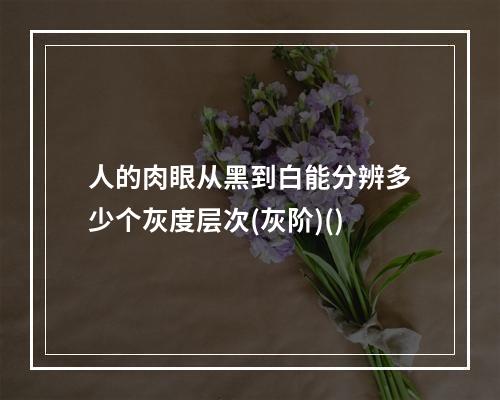 人的肉眼从黑到白能分辨多少个灰度层次(灰阶)()