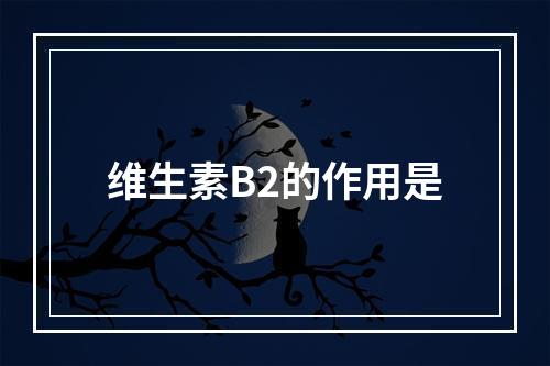 维生素B2的作用是