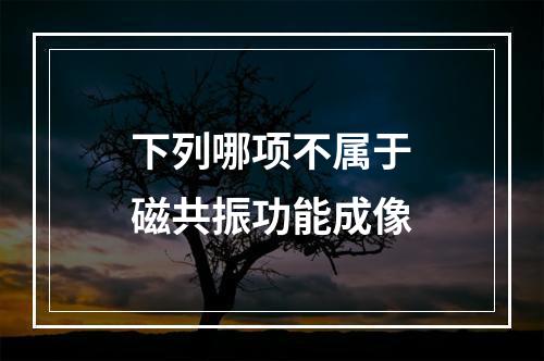 下列哪项不属于磁共振功能成像