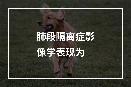 肺段隔离症影像学表现为