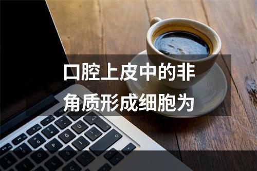 口腔上皮中的非角质形成细胞为