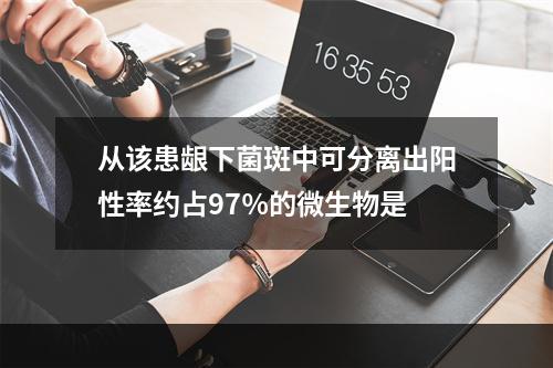 从该患龈下菌斑中可分离出阳性率约占97％的微生物是