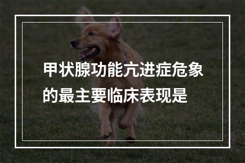 甲状腺功能亢进症危象的最主要临床表现是