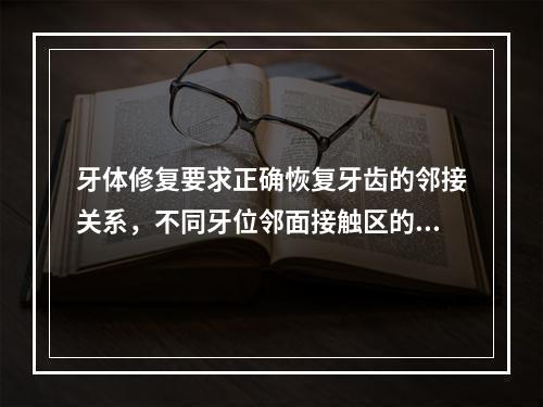 牙体修复要求正确恢复牙齿的邻接关系，不同牙位邻面接触区的位置