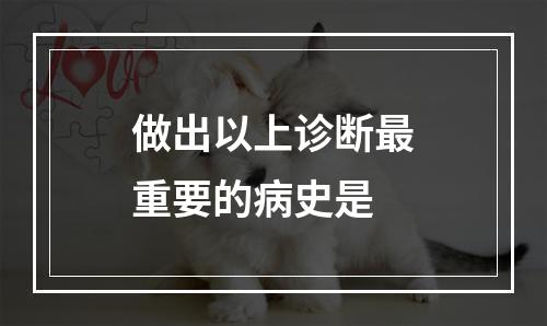 做出以上诊断最重要的病史是