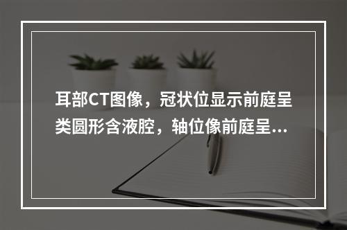 耳部CT图像，冠状位显示前庭呈类圆形含液腔，轴位像前庭呈长椭